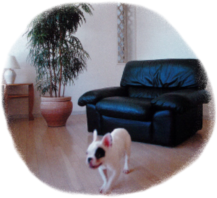 インテリアのイメージ写真